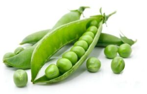 fresh green pea in the pod isolated on white background