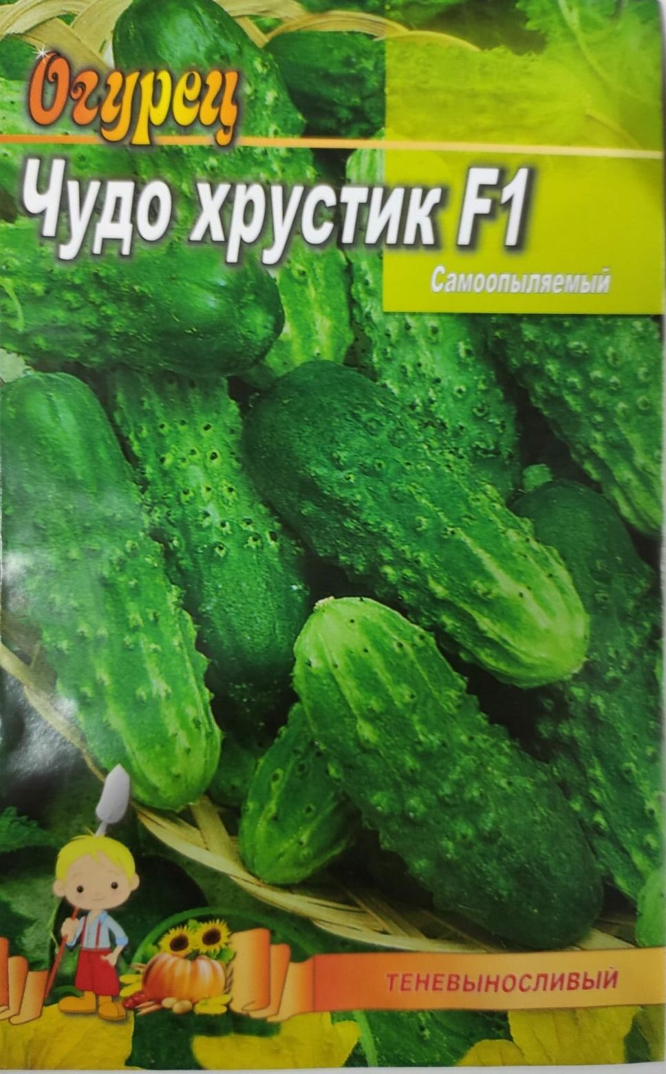 Хрустик. Огурец Чайковский f1 — упаковка. Огурец Чайковский f1 (100шт). Семена огурцов чудо Хрустик. Огурец Чайковский f1 Ашан.